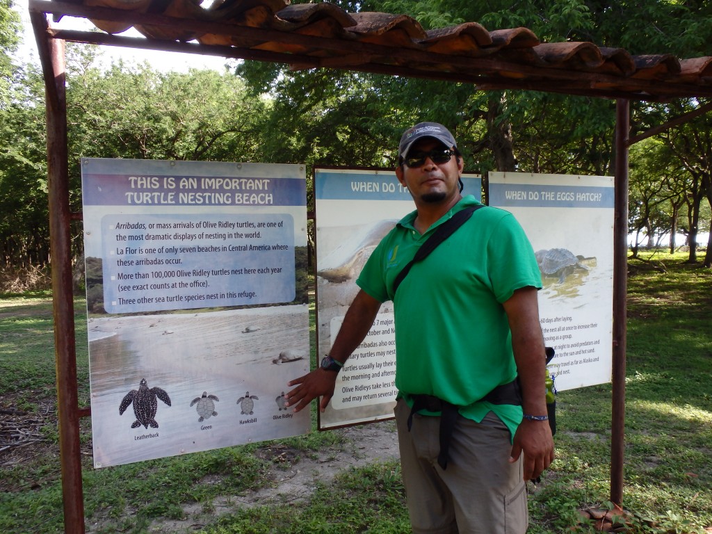 Salvador Sanchez, turtle program coordinator, playing tour guide