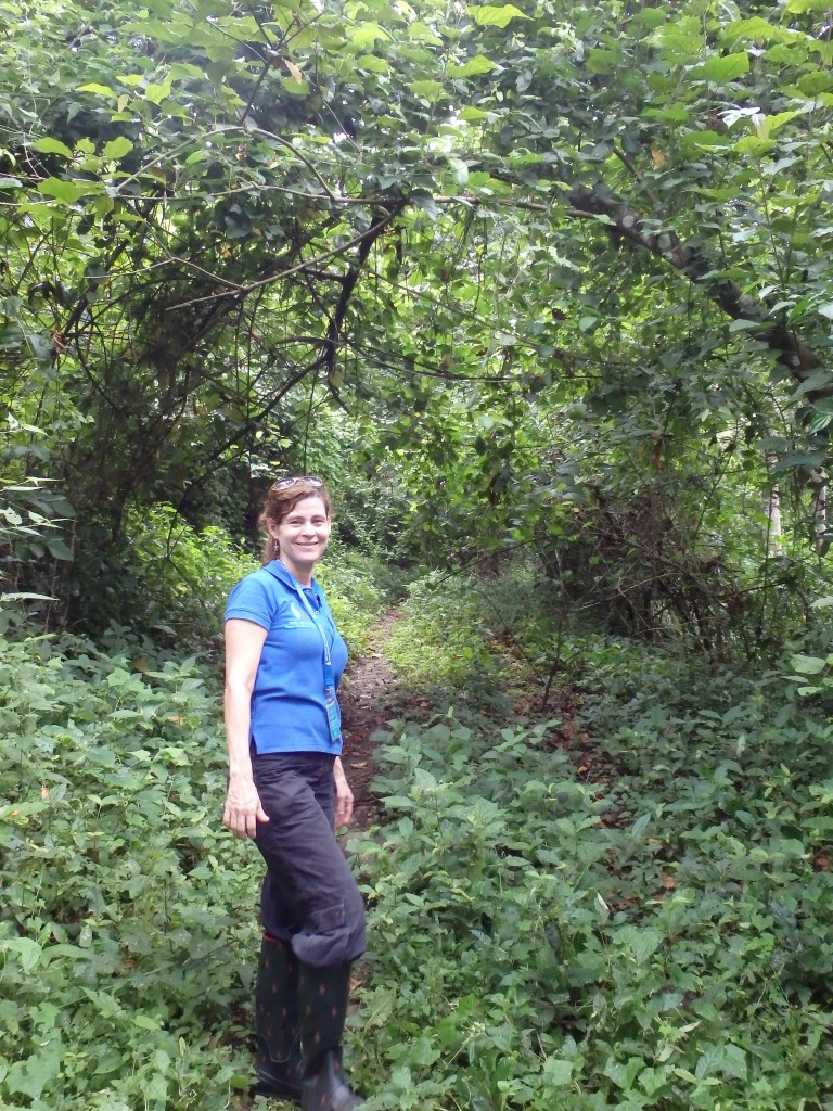 Liza Gonzalez, country director, on hike through reforestation project
