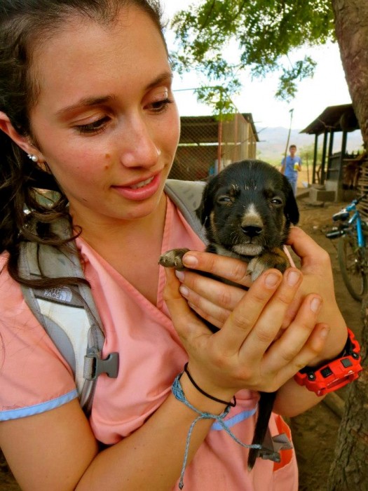 Alex in Chacraseca at vet clinic (Photo courtesy of Alex Pollack)