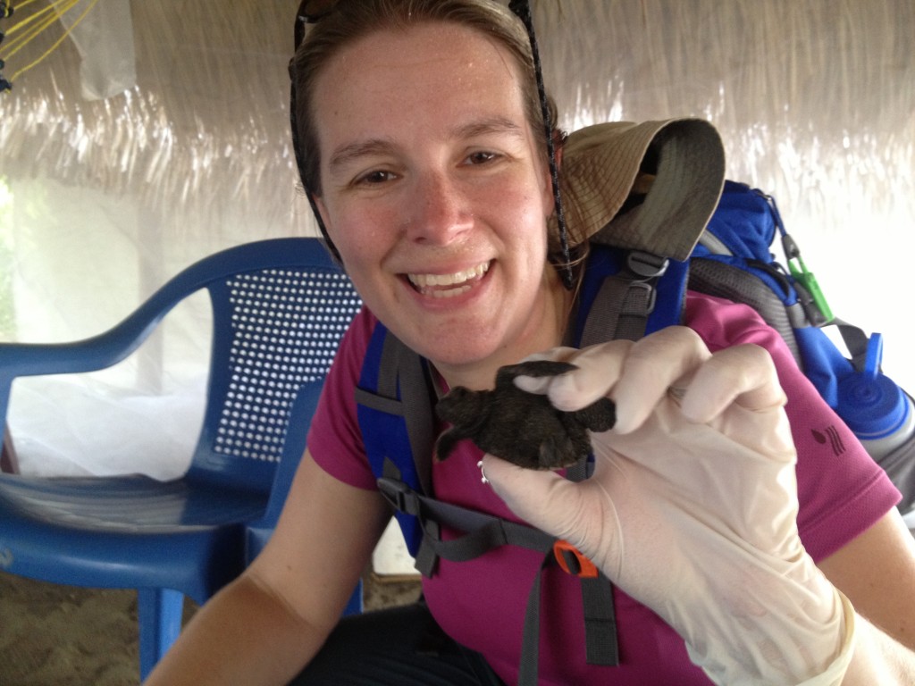 Deborah with hawksbill hatchling